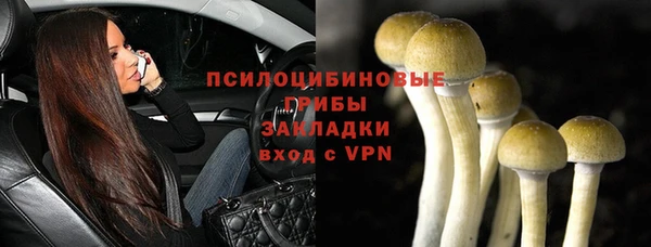 ECSTASY Алексеевка