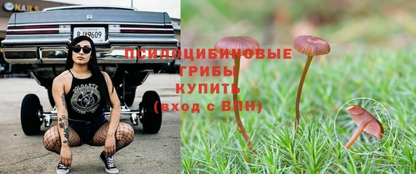 ECSTASY Алексеевка