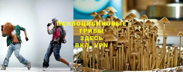 PSILOCYBIN Алексин
