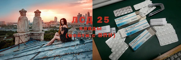 шишки Алзамай