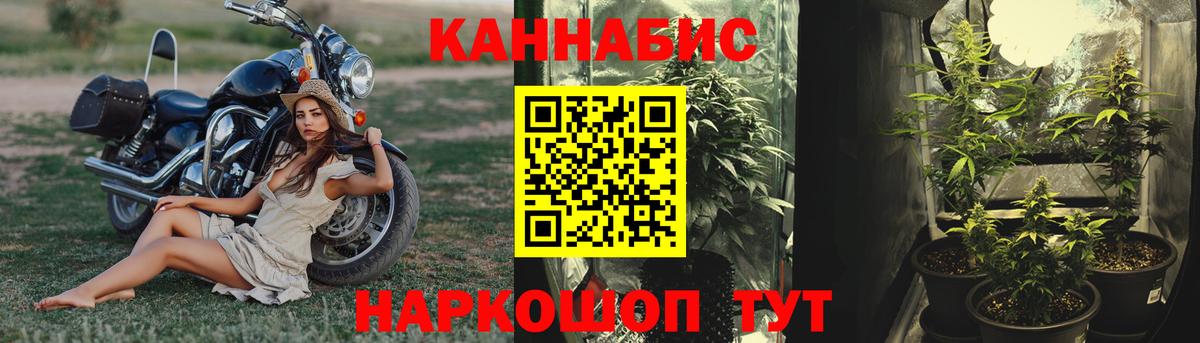 Бошки Шишки семена  Вход с VPN  Марихуана Amnesia  Усинск 